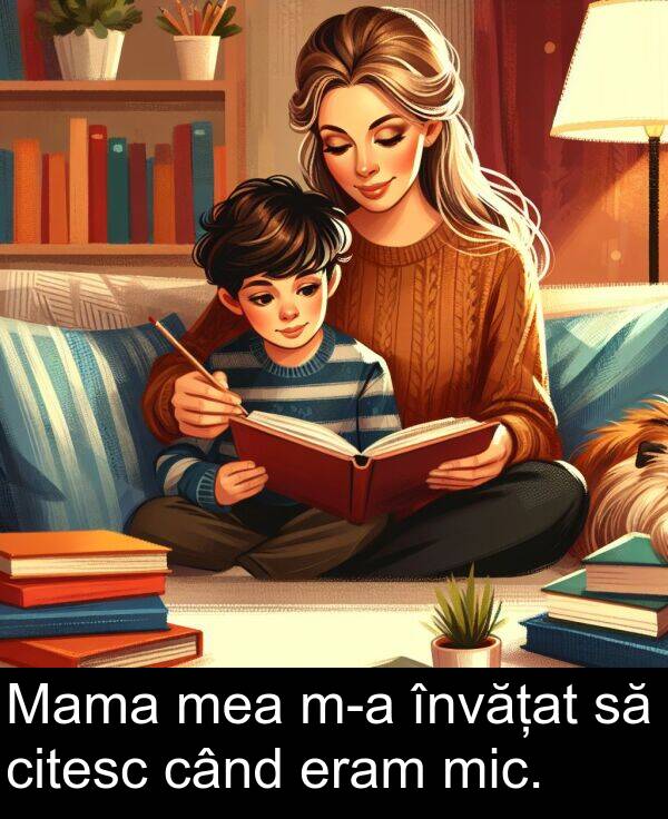învățat: Mama mea m-a învățat să citesc când eram mic.