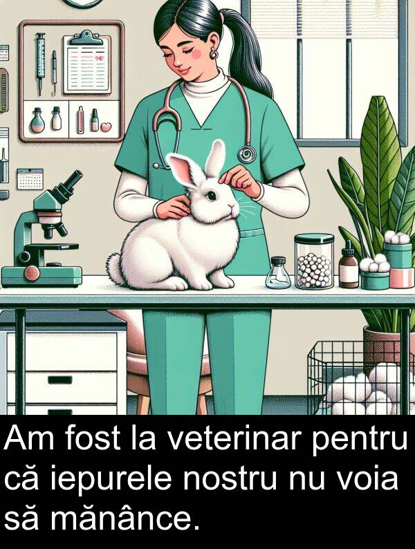 mănânce: Am fost la veterinar pentru că iepurele nostru nu voia să mănânce.