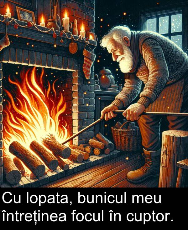 cuptor: Cu lopata, bunicul meu întreținea focul în cuptor.