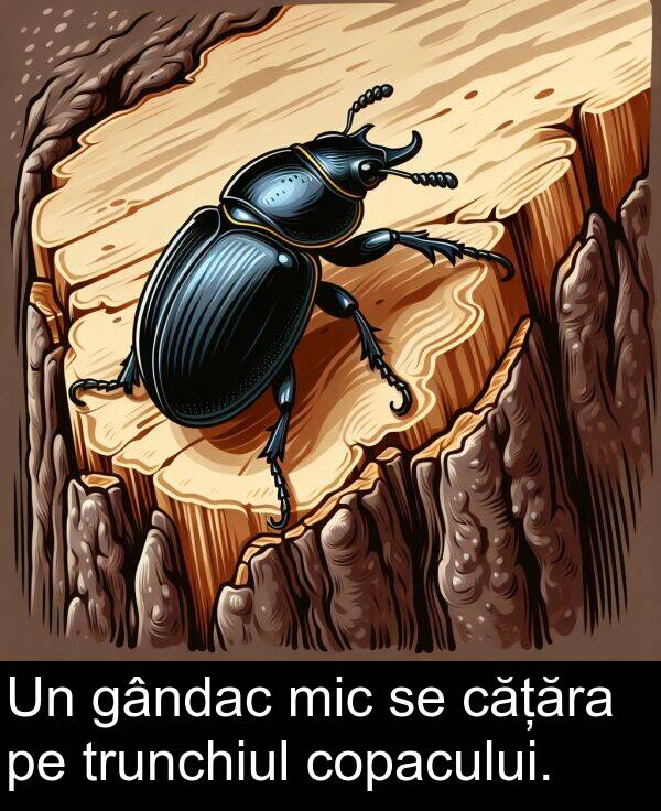 gândac: Un gândac mic se cățăra pe trunchiul copacului.