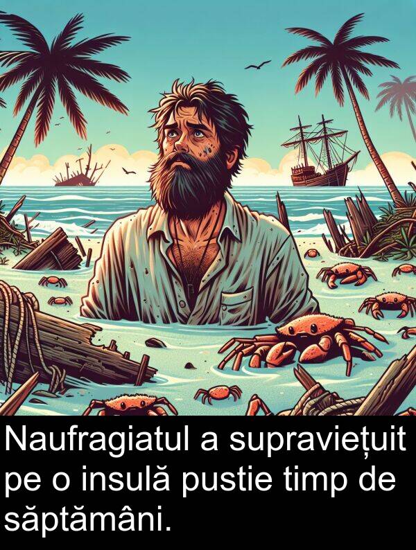 săptămâni: Naufragiatul a supraviețuit pe o insulă pustie timp de săptămâni.