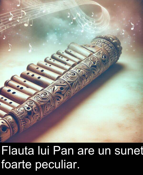 peculiar: Flauta lui Pan are un sunet foarte peculiar.