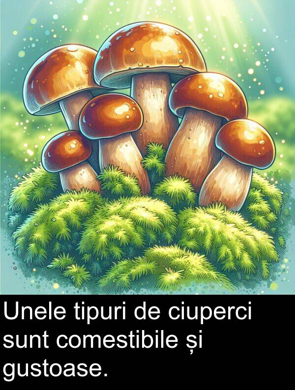 comestibile: Unele tipuri de ciuperci sunt comestibile și gustoase.