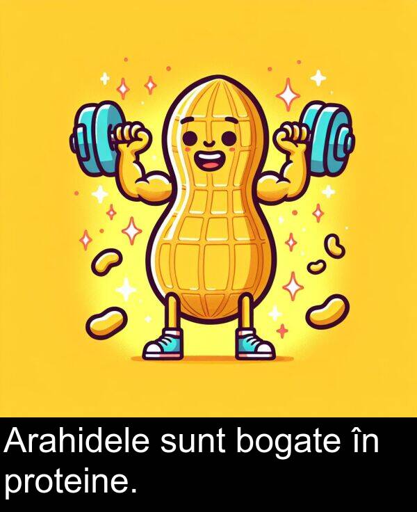 sunt: Arahidele sunt bogate în proteine.