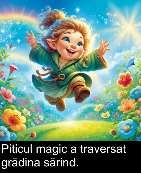 magic: Piticul magic a traversat grădina sărind.