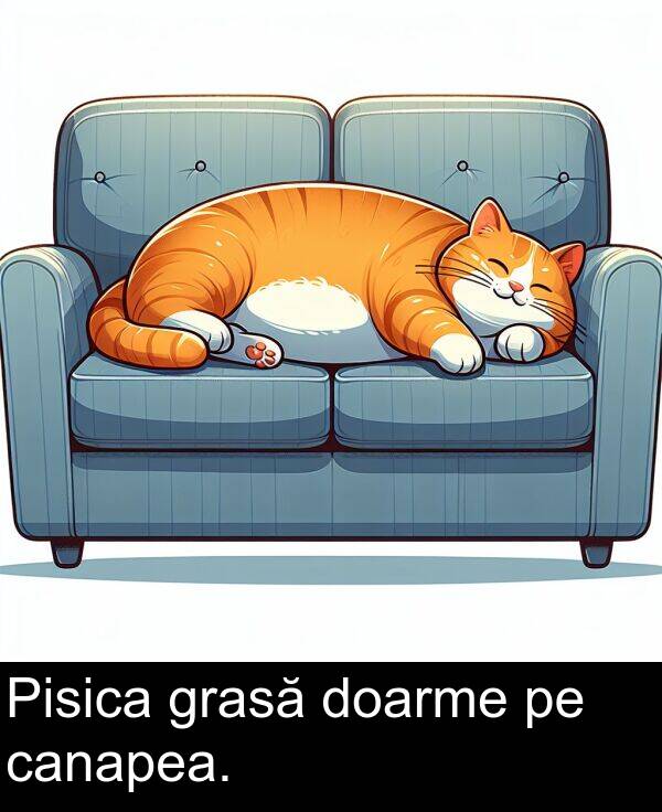 canapea: Pisica grasă doarme pe canapea.