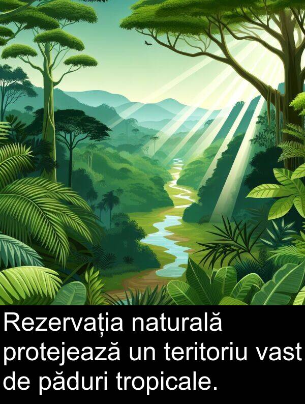 vast: Rezervația naturală protejează un teritoriu vast de păduri tropicale.