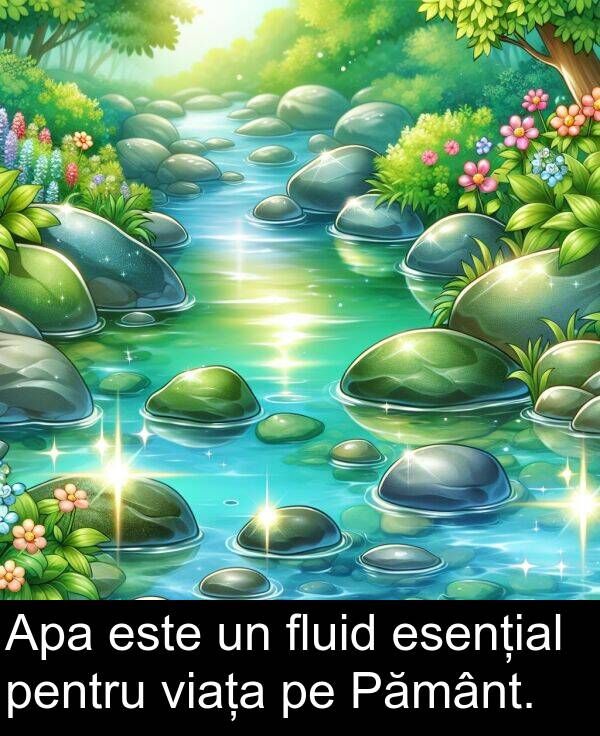 fluid: Apa este un fluid esențial pentru viața pe Pământ.