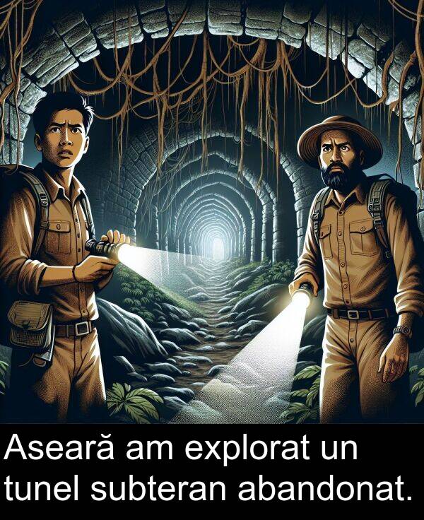 abandonat: Aseară am explorat un tunel subteran abandonat.