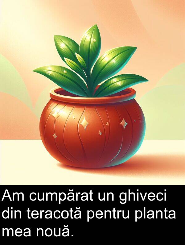 cumpărat: Am cumpărat un ghiveci din teracotă pentru planta mea nouă.