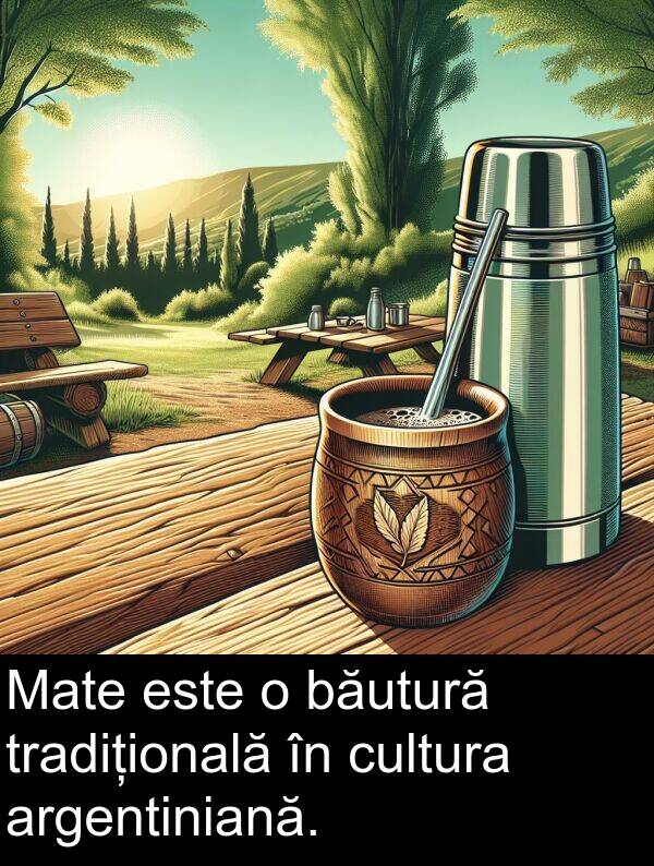 cultura: Mate este o băutură tradițională în cultura argentiniană.