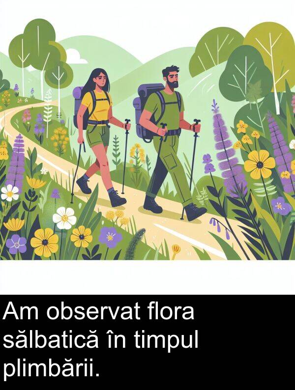 observat: Am observat flora sălbatică în timpul plimbării.