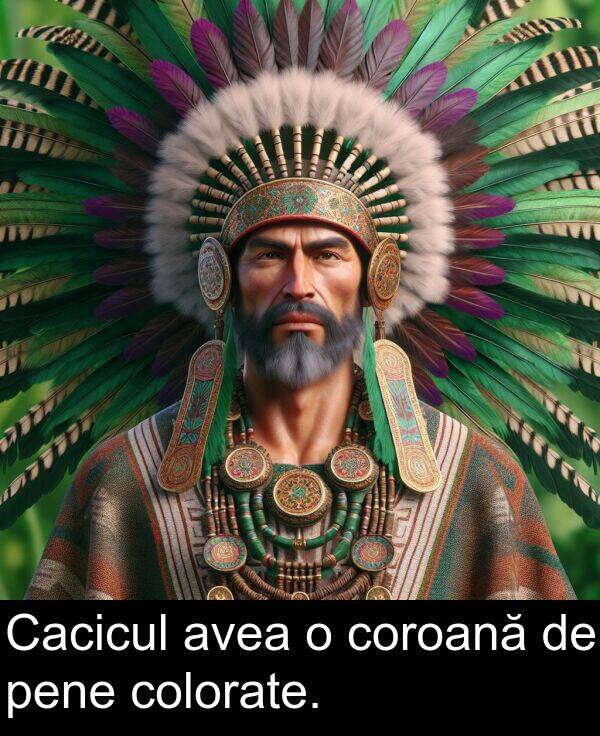 pene: Cacicul avea o coroană de pene colorate.