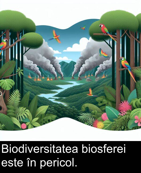 pericol: Biodiversitatea biosferei este în pericol.