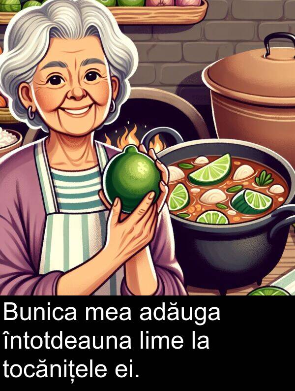 ei: Bunica mea adăuga întotdeauna lime la tocănițele ei.