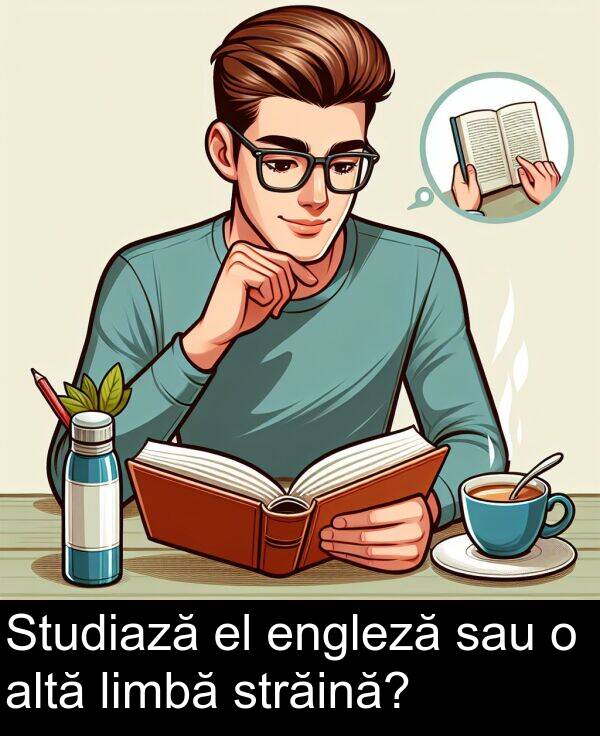 engleză: Studiază el engleză sau o altă limbă străină?