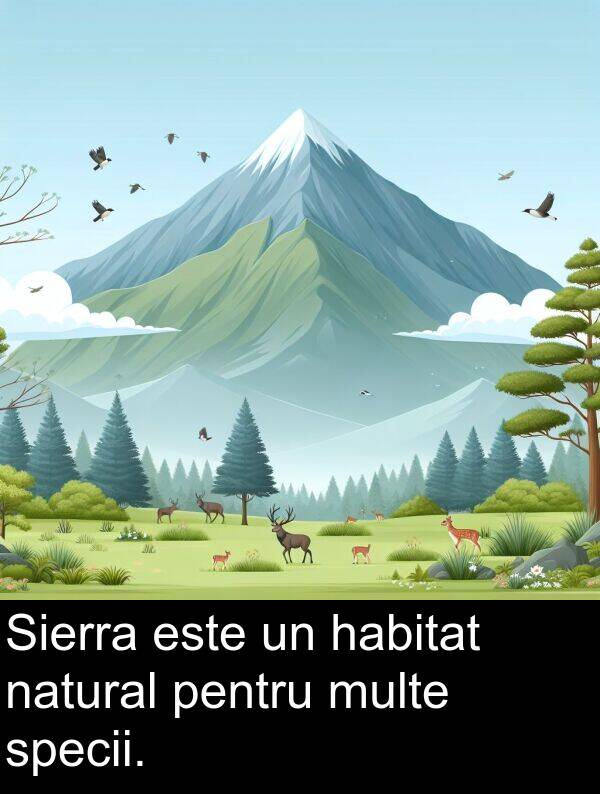 natural: Sierra este un habitat natural pentru multe specii.