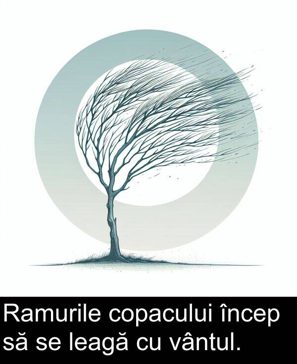 vântul: Ramurile copacului încep să se leagă cu vântul.