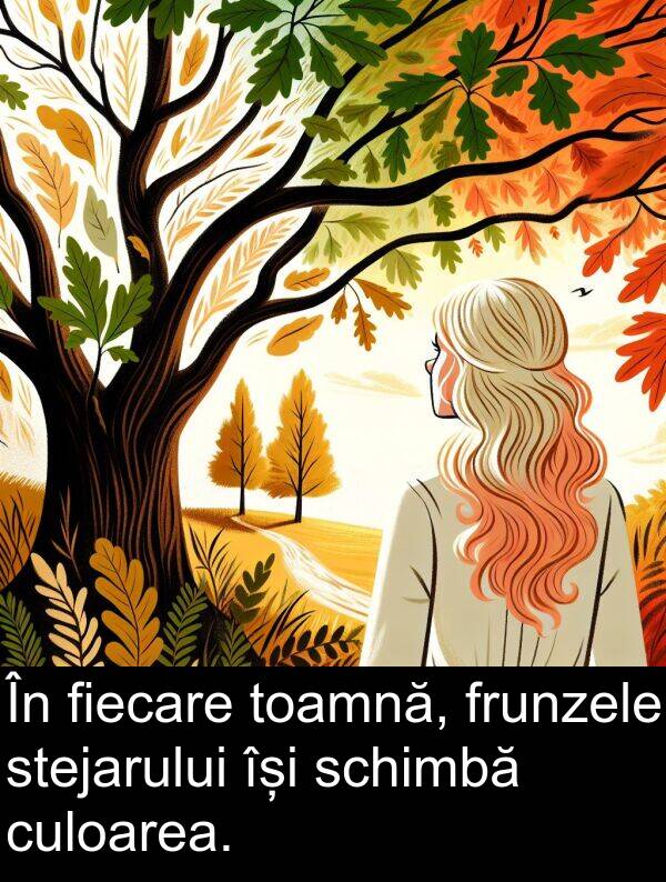 schimbă: În fiecare toamnă, frunzele stejarului își schimbă culoarea.