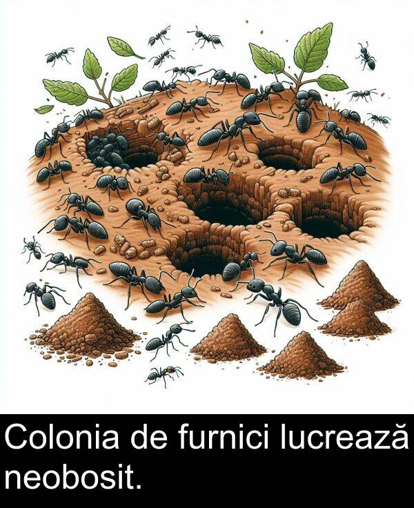 furnici: Colonia de furnici lucrează neobosit.