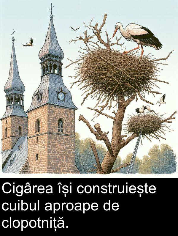 își: Cigârea își construiește cuibul aproape de clopotniță.