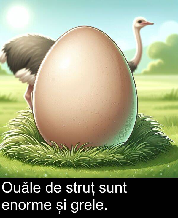 grele: Ouăle de struț sunt enorme și grele.