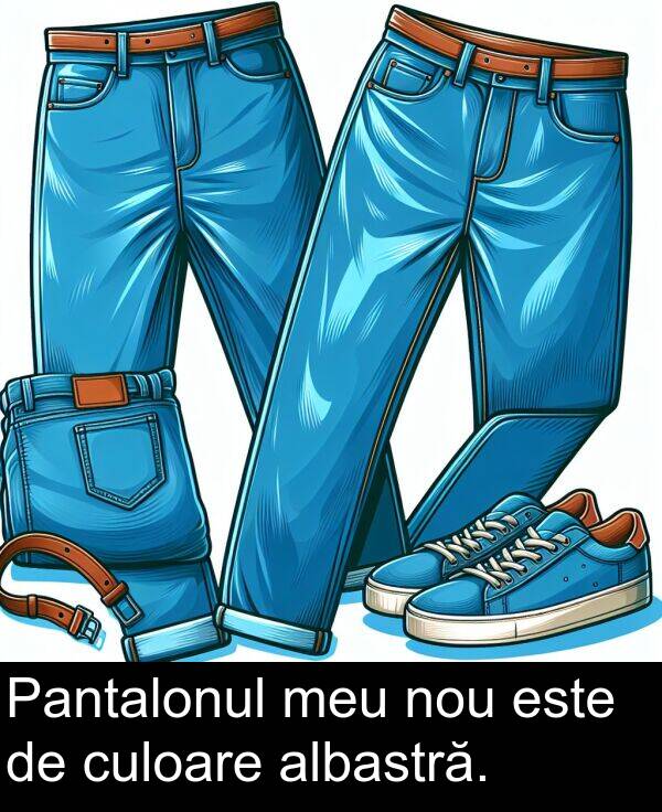 culoare: Pantalonul meu nou este de culoare albastră.