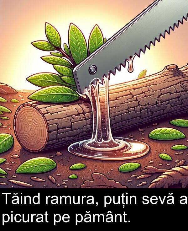 ramura: Tăind ramura, puțin sevă a picurat pe pământ.