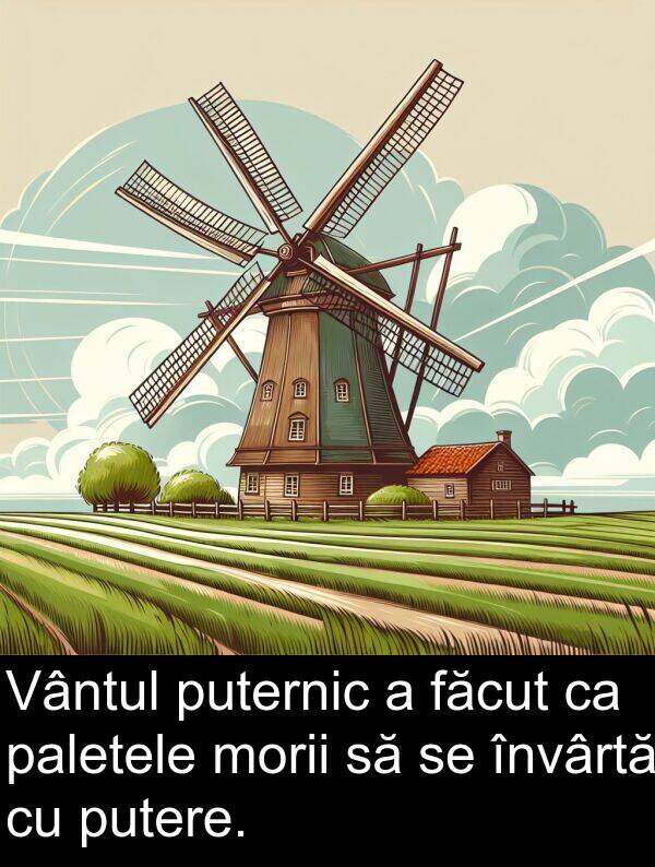 paletele: Vântul puternic a făcut ca paletele morii să se învârtă cu putere.