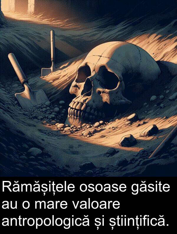 valoare: Rămășițele osoase găsite au o mare valoare antropologică și științifică.