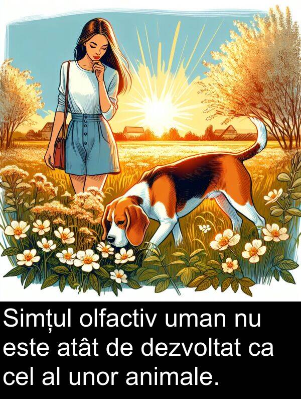 unor: Simțul olfactiv uman nu este atât de dezvoltat ca cel al unor animale.