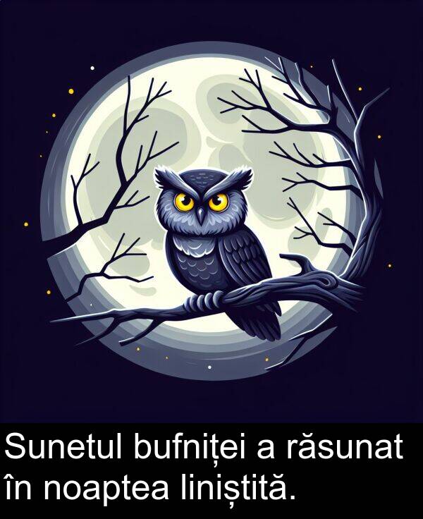liniștită: Sunetul bufniței a răsunat în noaptea liniștită.