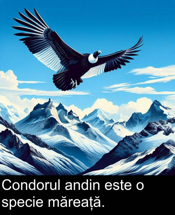 andin: Condorul andin este o specie măreață.