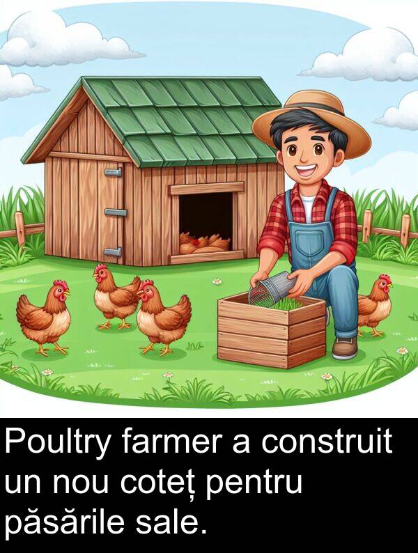 farmer: Poultry farmer a construit un nou coteț pentru păsările sale.