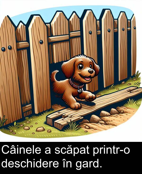 gard: Câinele a scăpat printr-o deschidere în gard.