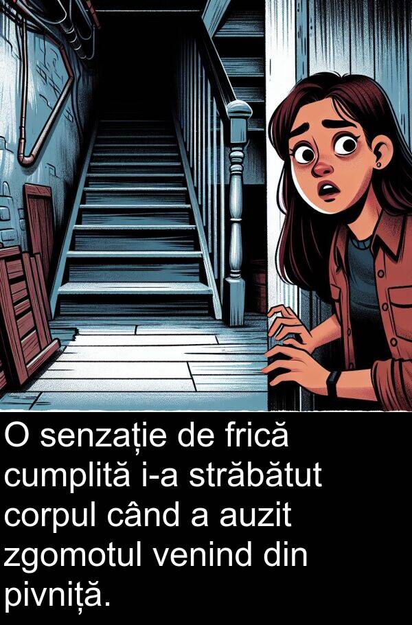 zgomotul: O senzație de frică cumplită i-a străbătut corpul când a auzit zgomotul venind din pivniță.