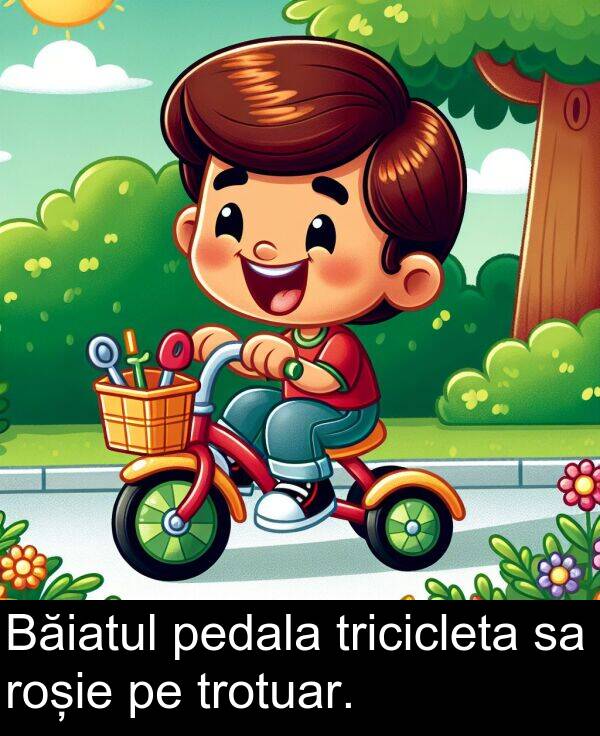 roșie: Băiatul pedala tricicleta sa roșie pe trotuar.