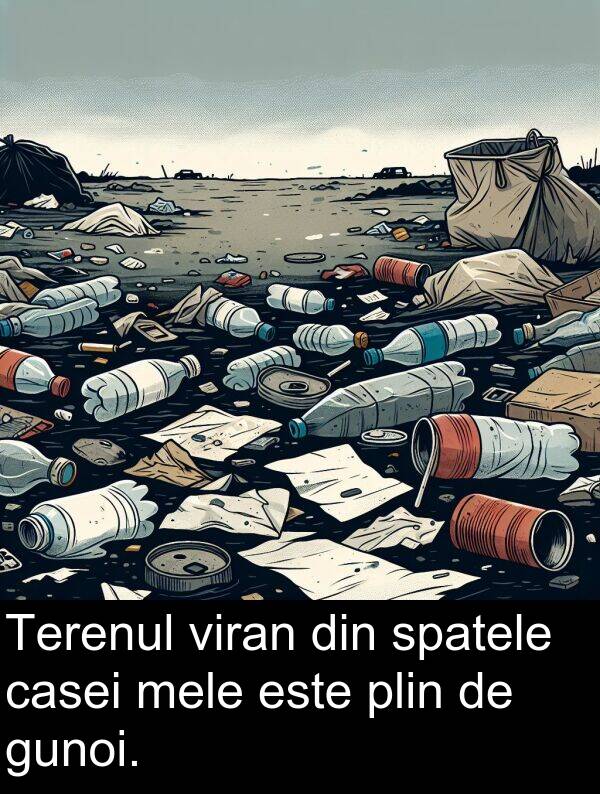 plin: Terenul viran din spatele casei mele este plin de gunoi.