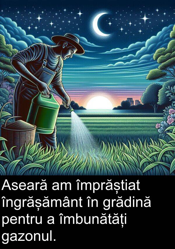 gazonul: Aseară am împrăștiat îngrășământ în grădină pentru a îmbunătăți gazonul.
