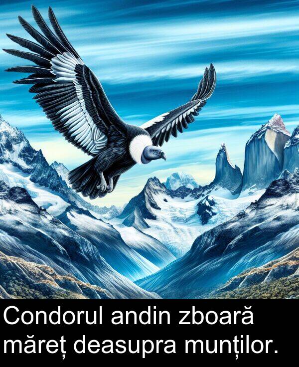 zboară: Condorul andin zboară măreț deasupra munților.