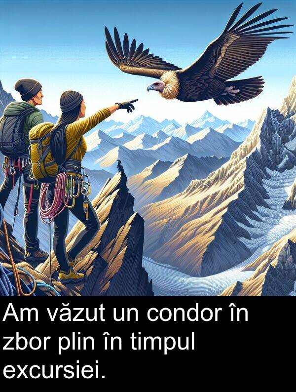 văzut: Am văzut un condor în zbor plin în timpul excursiei.