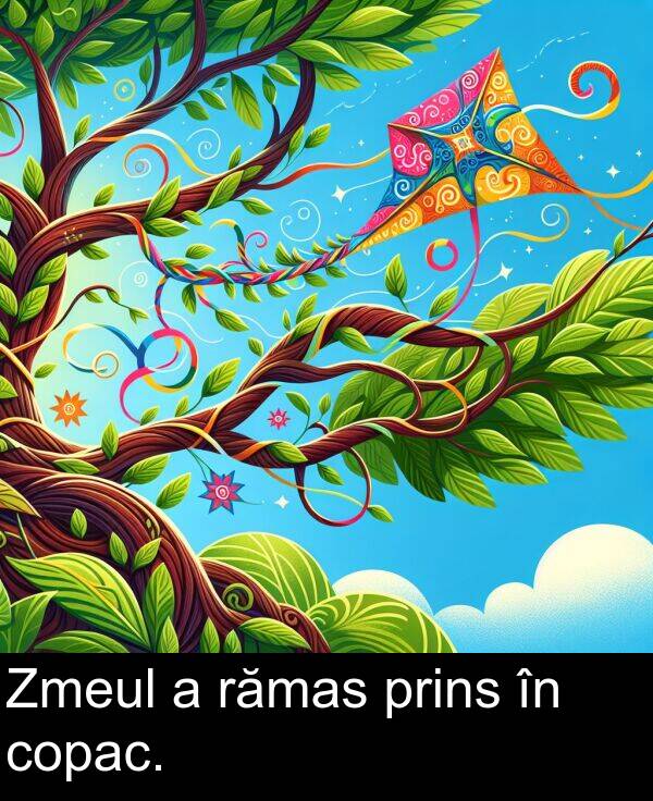 rămas: Zmeul a rămas prins în copac.