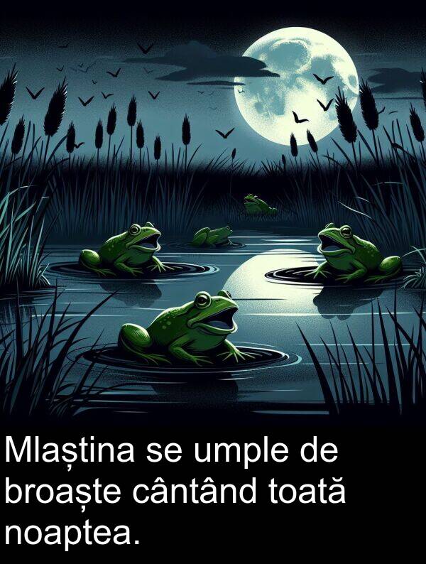 umple: Mlaștina se umple de broaște cântând toată noaptea.