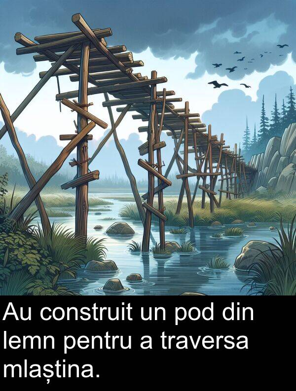 pod: Au construit un pod din lemn pentru a traversa mlaștina.
