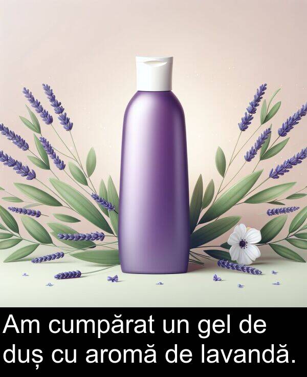 lavandă: Am cumpărat un gel de duș cu aromă de lavandă.