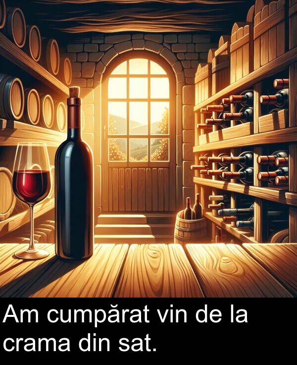 sat: Am cumpărat vin de la crama din sat.