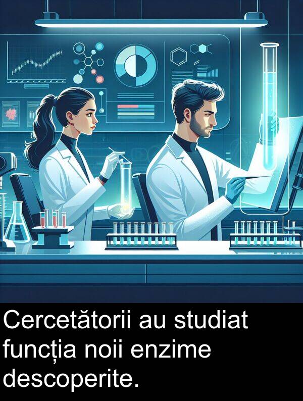 funcția: Cercetătorii au studiat funcția noii enzime descoperite.
