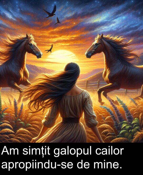 cailor: Am simțit galopul cailor apropiindu-se de mine.