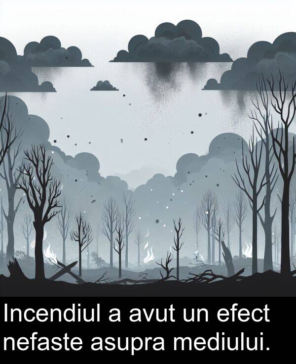 efect: Incendiul a avut un efect nefaste asupra mediului.