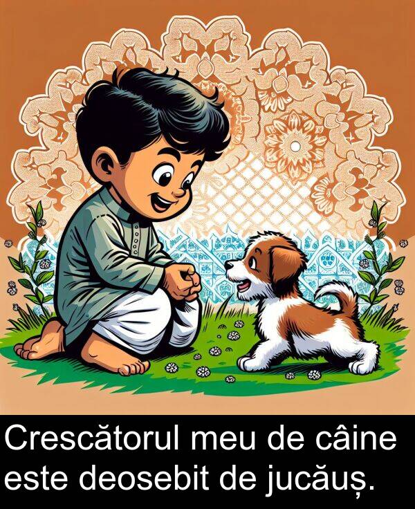 câine: Crescătorul meu de câine este deosebit de jucăuș.